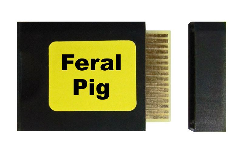 Feral Pig - Yellow label